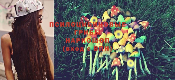 mdma Шадринск