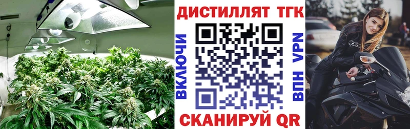 ТГК Wax  Купить закладки  Новотроицк 